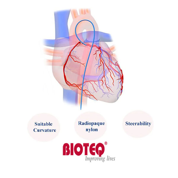 Angiographic-Catheter233